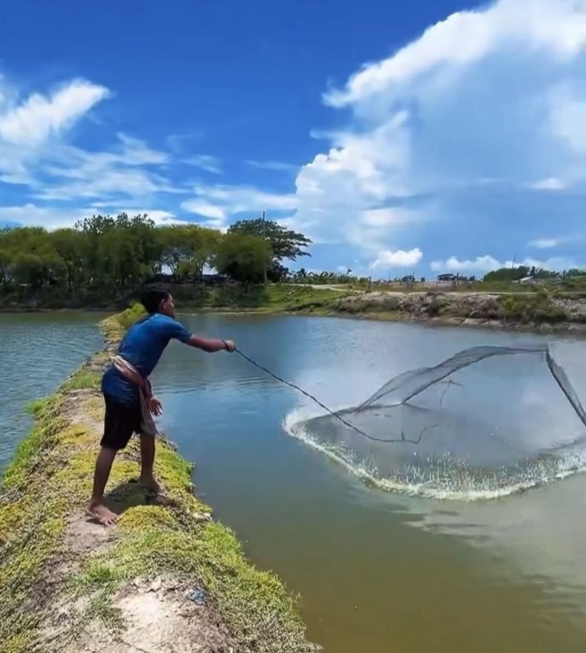 জাল দিয়ে মাছ ধরার সুন্দর দৃশ্য।