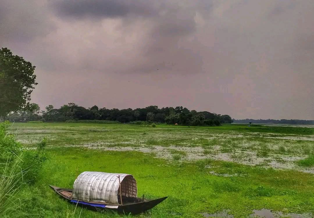 বর্ষার সকালে গ্রাম বাংলার মনোমুগ্ধকর পরিবেশের মুগ্ধ করা রূপ।