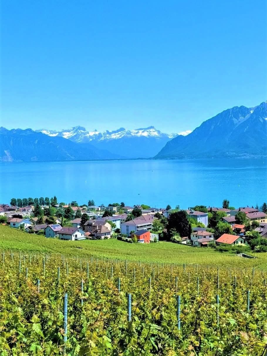 Bourg-en-Lavaux, Switzerland.