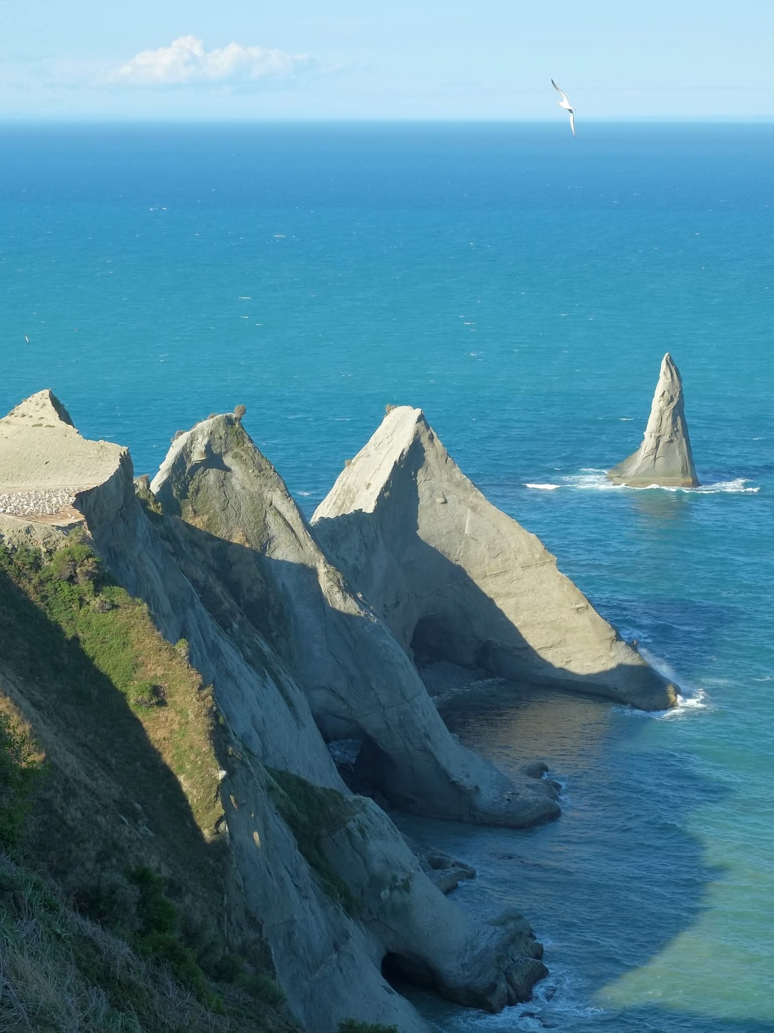 Cape Kidnappers, New Zealand.