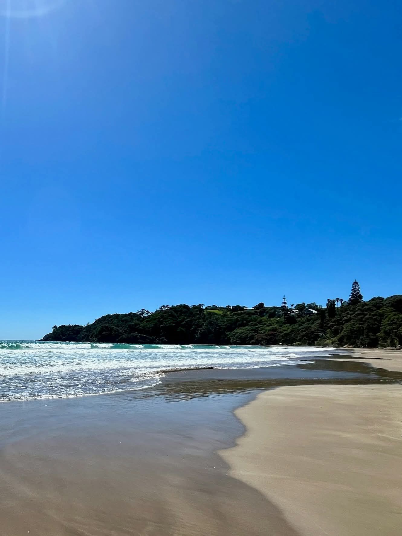 Paihia, North Island, New Zealand.