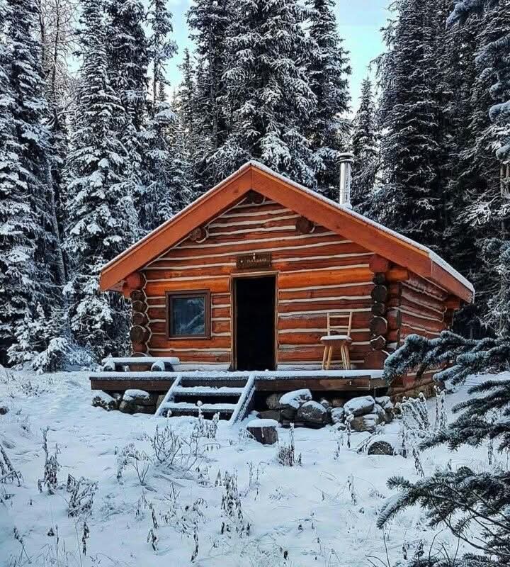 This frozen landscape is truly breathtaking, the snow-covered wooden house. ❄️