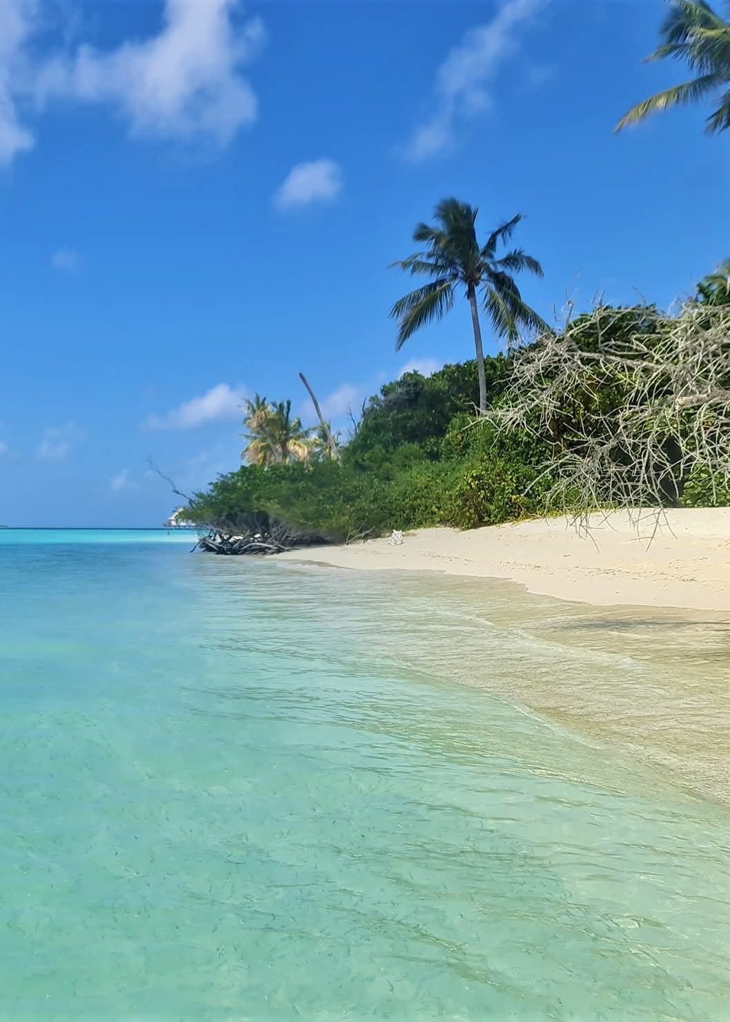 Maldives Indian Ocean.