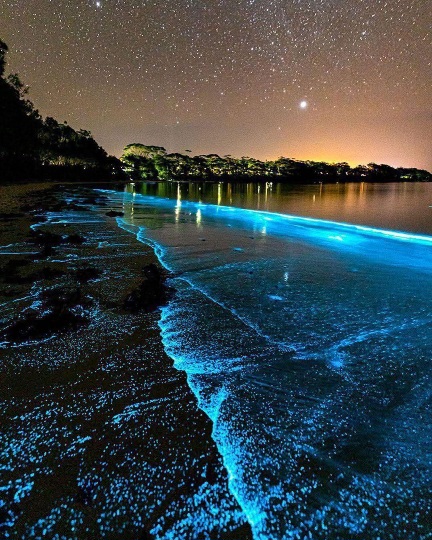 Jervis Bay, Australia 🇦🇺