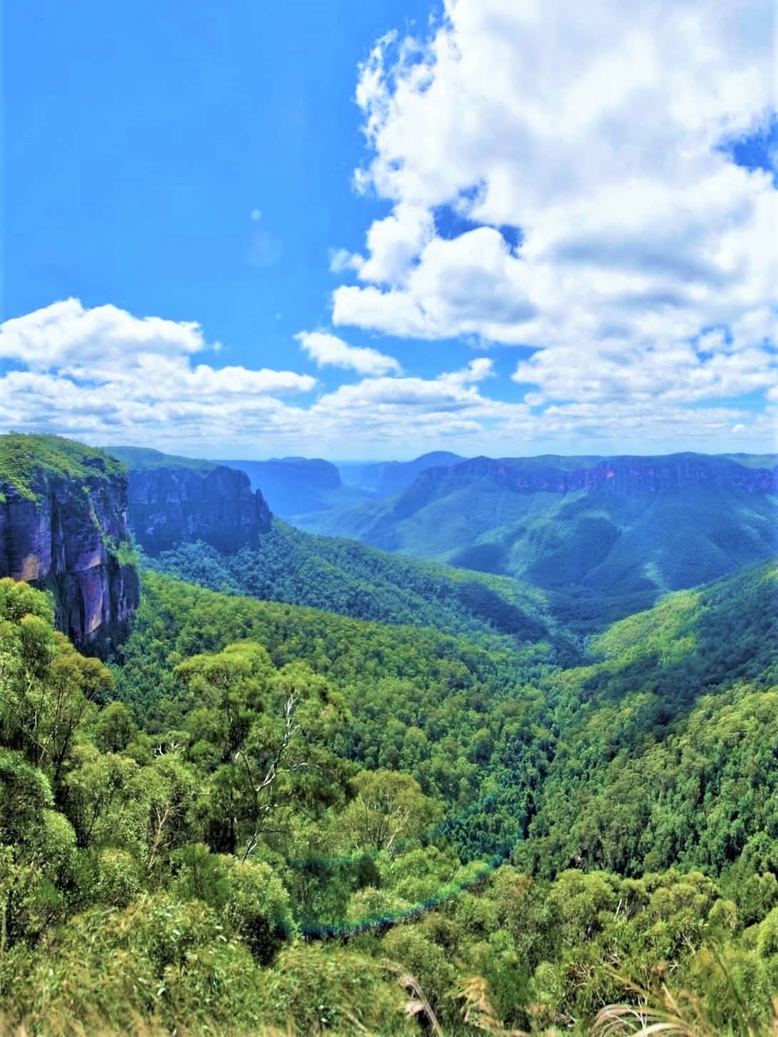 Blue Mountains, New South Wales, Australia.