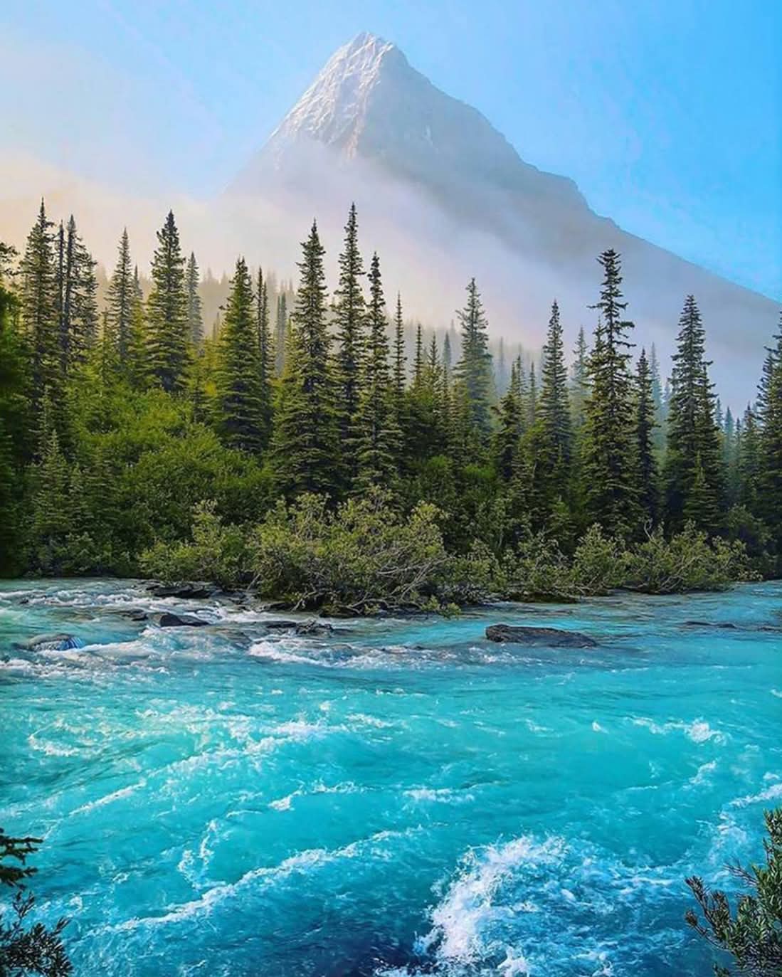 Alberta, Canada 💜