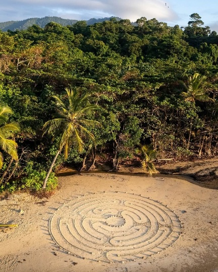 Mission Beach has it all, tropical rainforests, reef adventures, peaceful beaches, and yes... even the occasional coconut crop circle. 🌴🥥