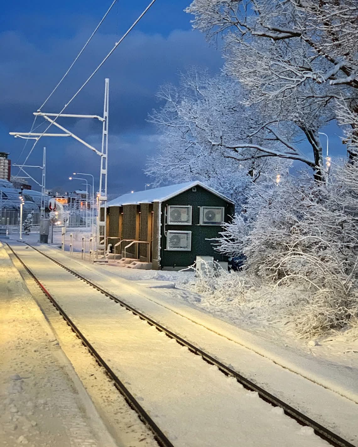 Snow wintertime in Sweden 🩶
