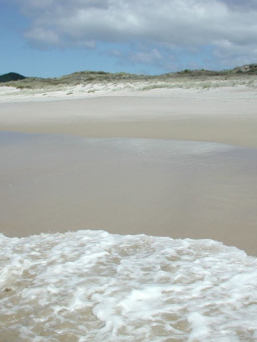 Otama Beach, Coromandel Peninsula, New Zealand.