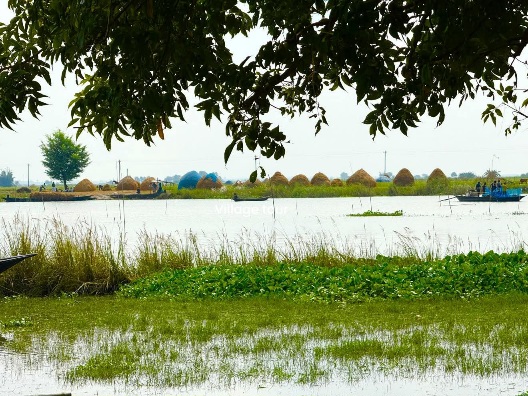 নদী পাড়ের সৌন্দর্য।
ফরিদপুর, বাংলাদেশ।