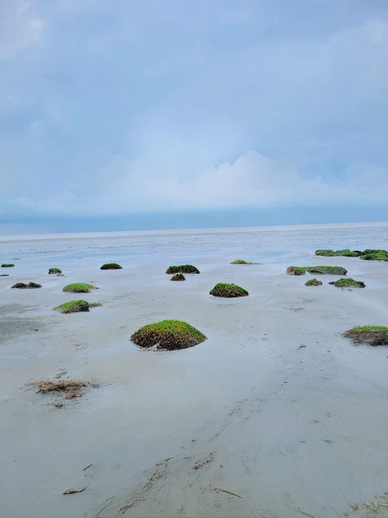 একদম অন্যরকম এক সমুদ্র সৈকত বাঁশবাড়িয়া।