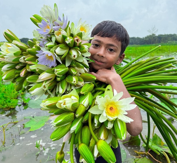 🌿 শাপলার গুচ্ছ হাতে শিশুর হাসি যেন বলে, গ্রামীণ জীবনের আসল সৌন্দর্য লুকিয়ে আছে প্রকৃতির সান্নিধ্যে। নদী-বিল, মাঠ-ঘাট আর সরল হাসিই তো গ্রামবাংলার প্রকৃত রূপ।🌸