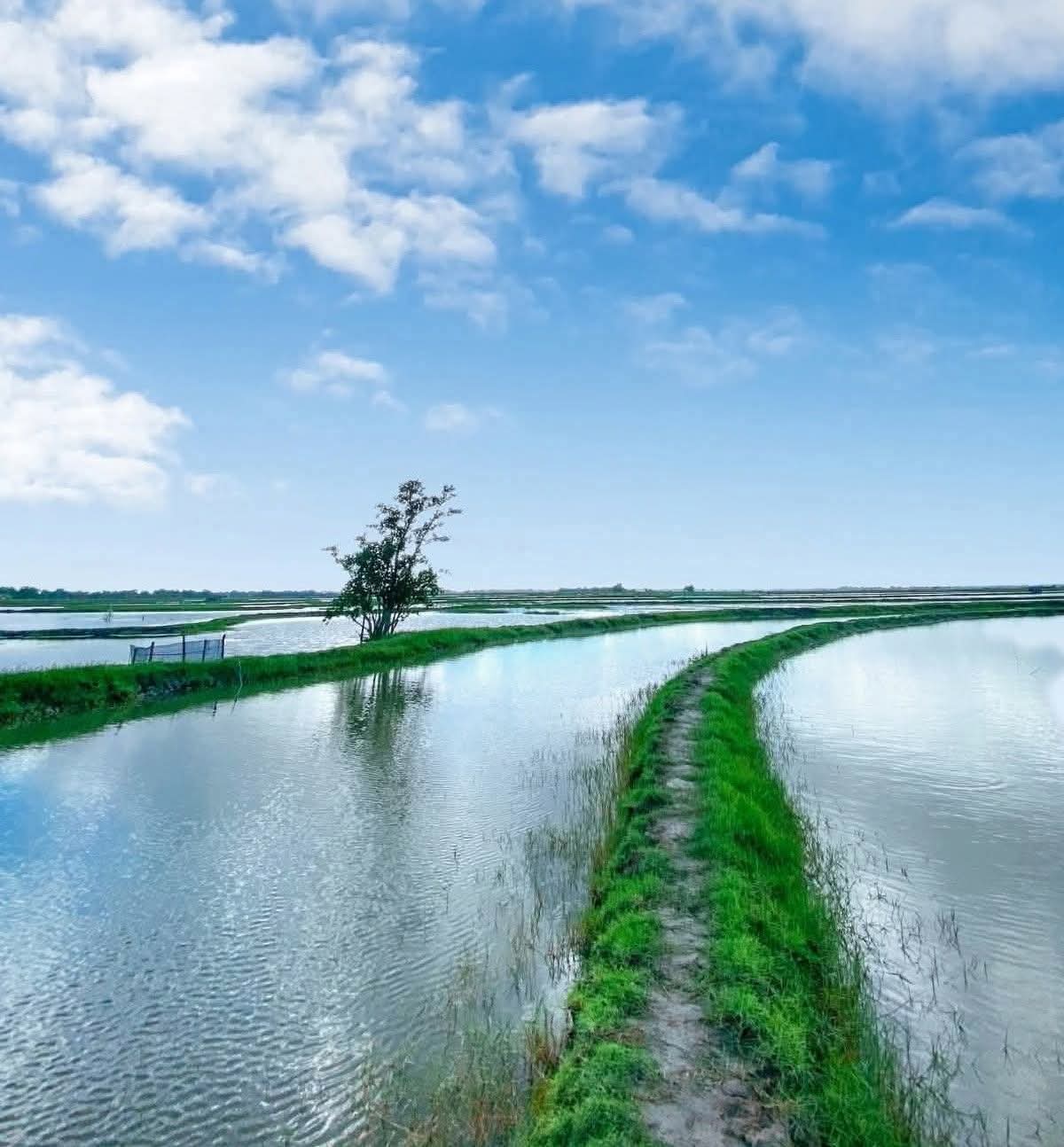প্রকৃতির আঁকা নিখুঁত ক্যানভাস!
আকাশ, জল আর সবুজ প্রকৃতি!