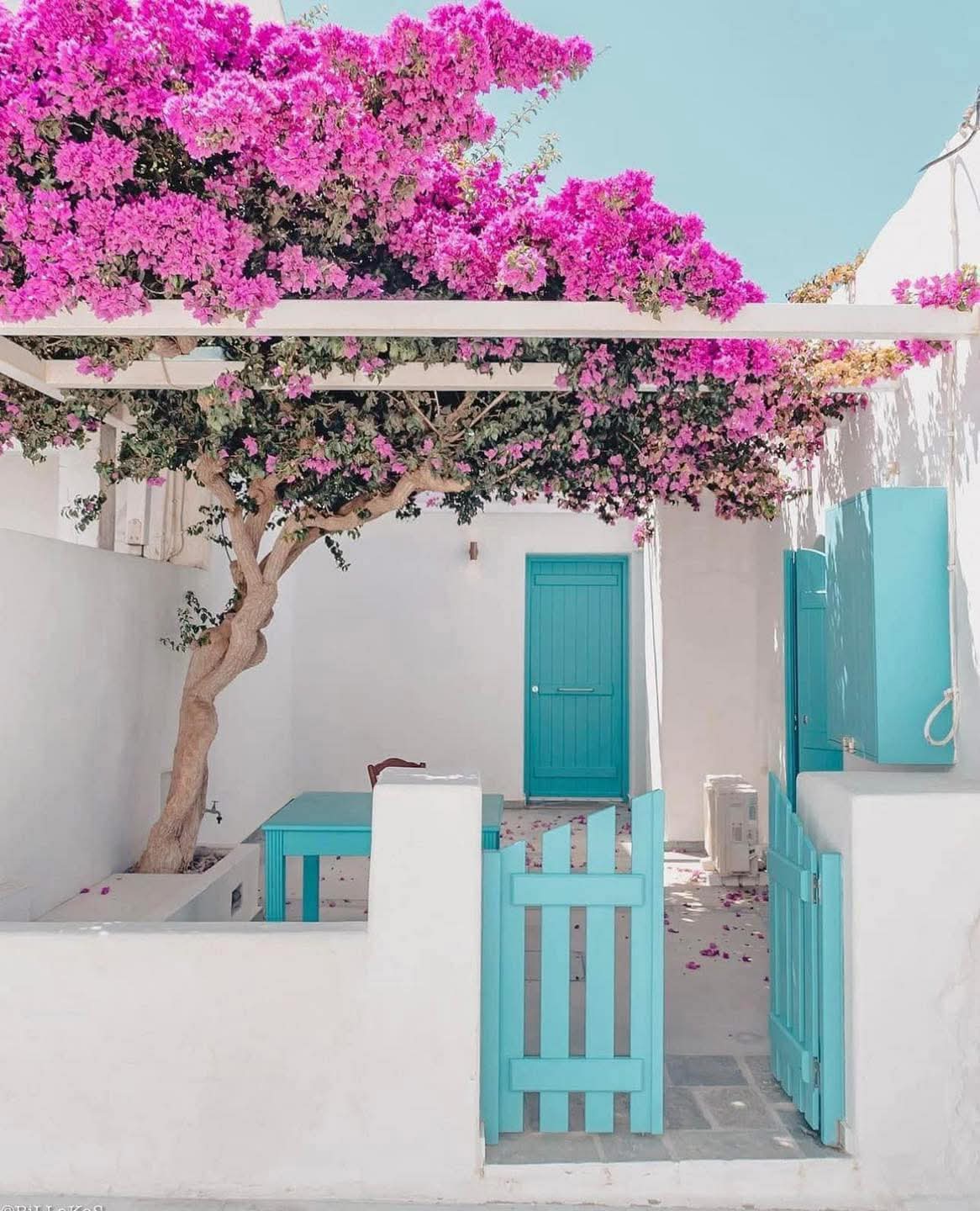 Cyclades, Greece 🩷