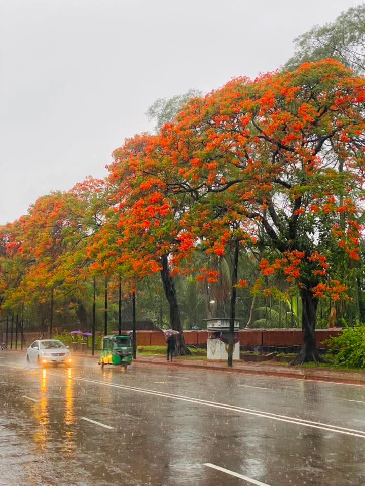 গণভবনের সামনের দৃশ্য।