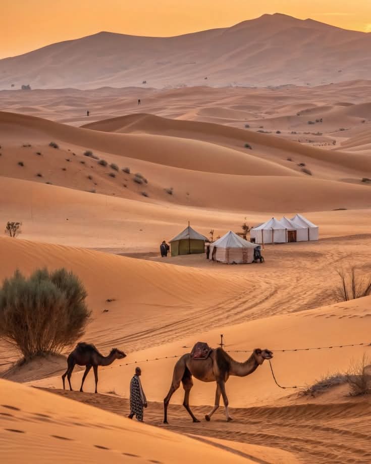 Sahara Desert