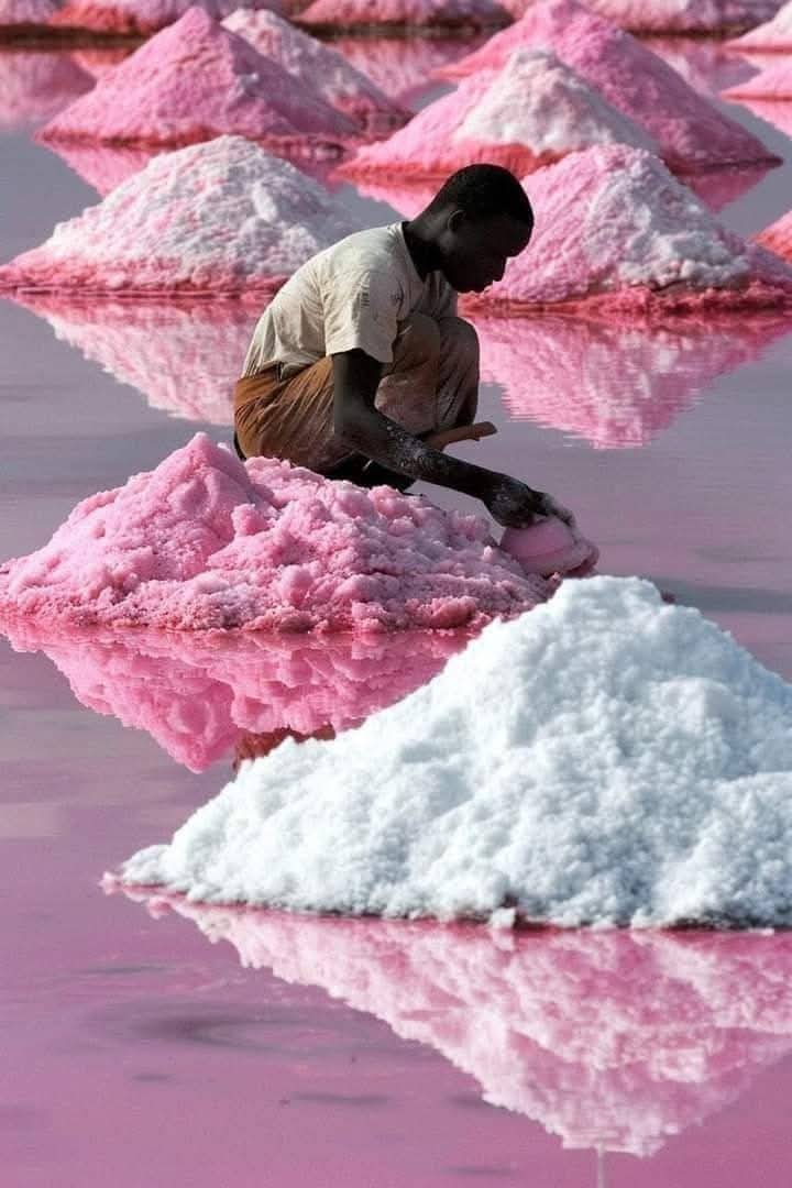 Lake Retba Senegal 🇸🇳