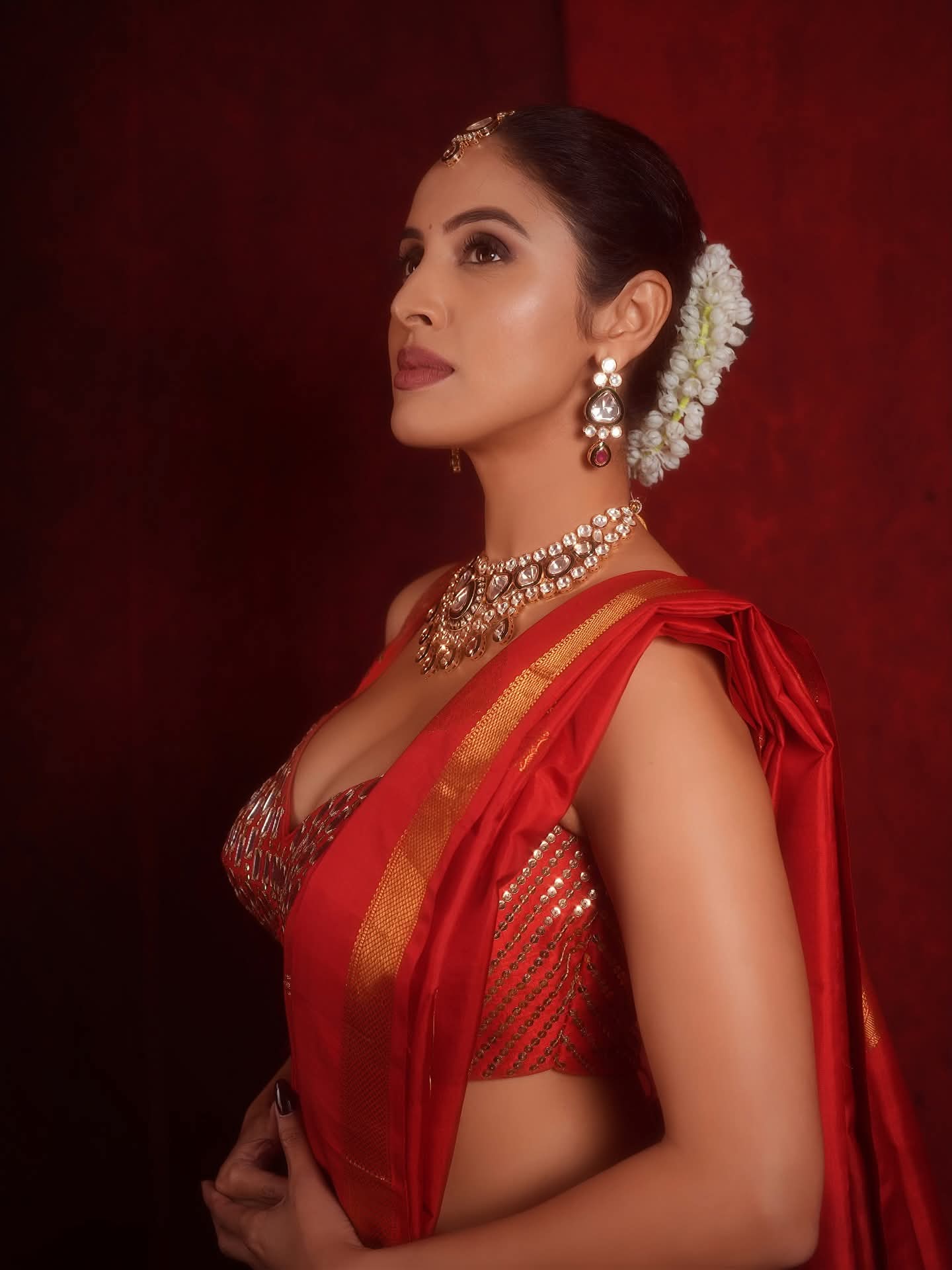Priyanka Kholgade - Indian Saree Beauty