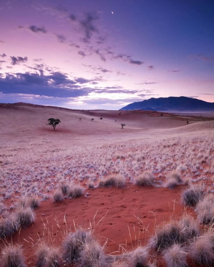 Namib Desert 🏜 ♥️