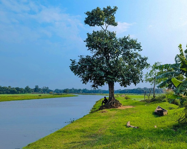 যেখানে নীরবতাই সবচেয়ে সুন্দর সুর।
পারুলী নদী, গাজীপুর, বাংলাদেশ।