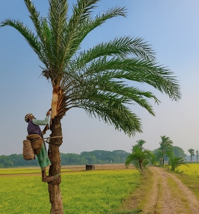 শীতের হিমেল হাওয়ায় মিষ্টি সকাল, জীবন হোক এমনই শান্ত আর নির্ভার। শুভ সকাল।