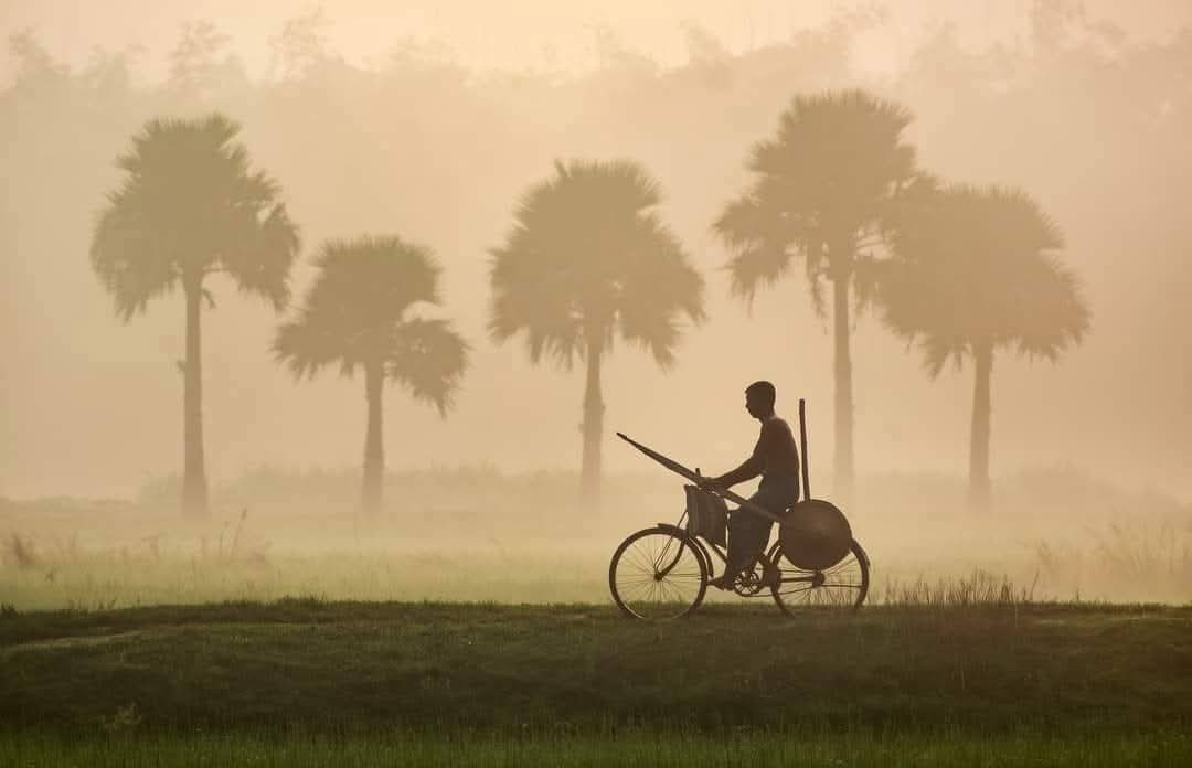 কুয়াশাচ্ছন্ন শীতের সকালের সাইকেল চালিয়ে যাওয়ার মনোমুগ্ধকর পরিবেশের সুন্দর দৃশ্য! 🏔️