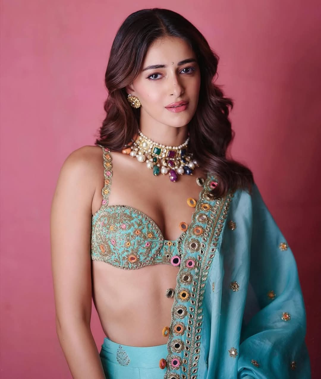 Ananya Panday - Bollywood Beautiful Actor - Indian Saree Beauty