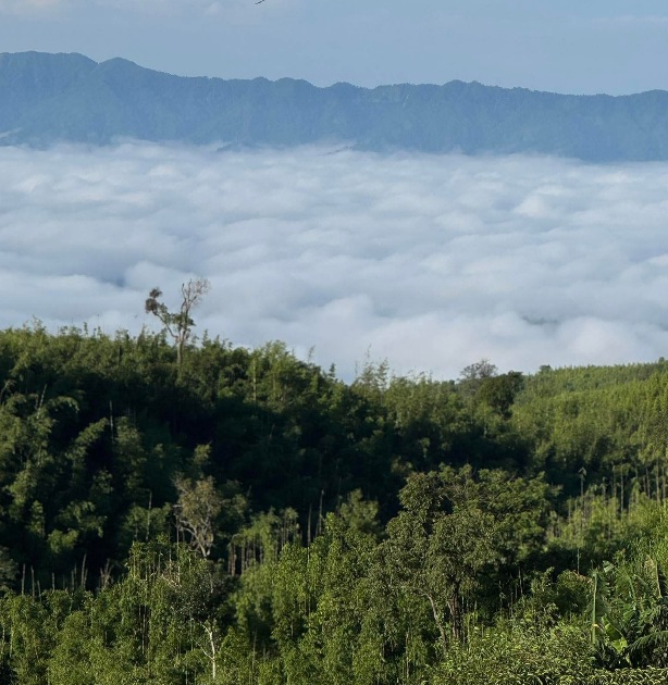 কেওক্রাডং এর চূড়া থেকে মেঘের সাড়ি। 💭⛰️