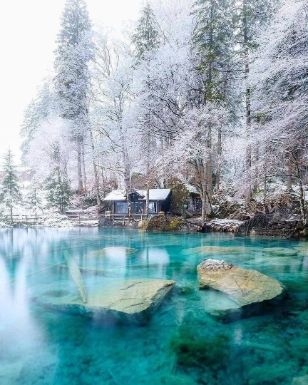 Winter in Lake Blausee, Switzerland 🇨🇭