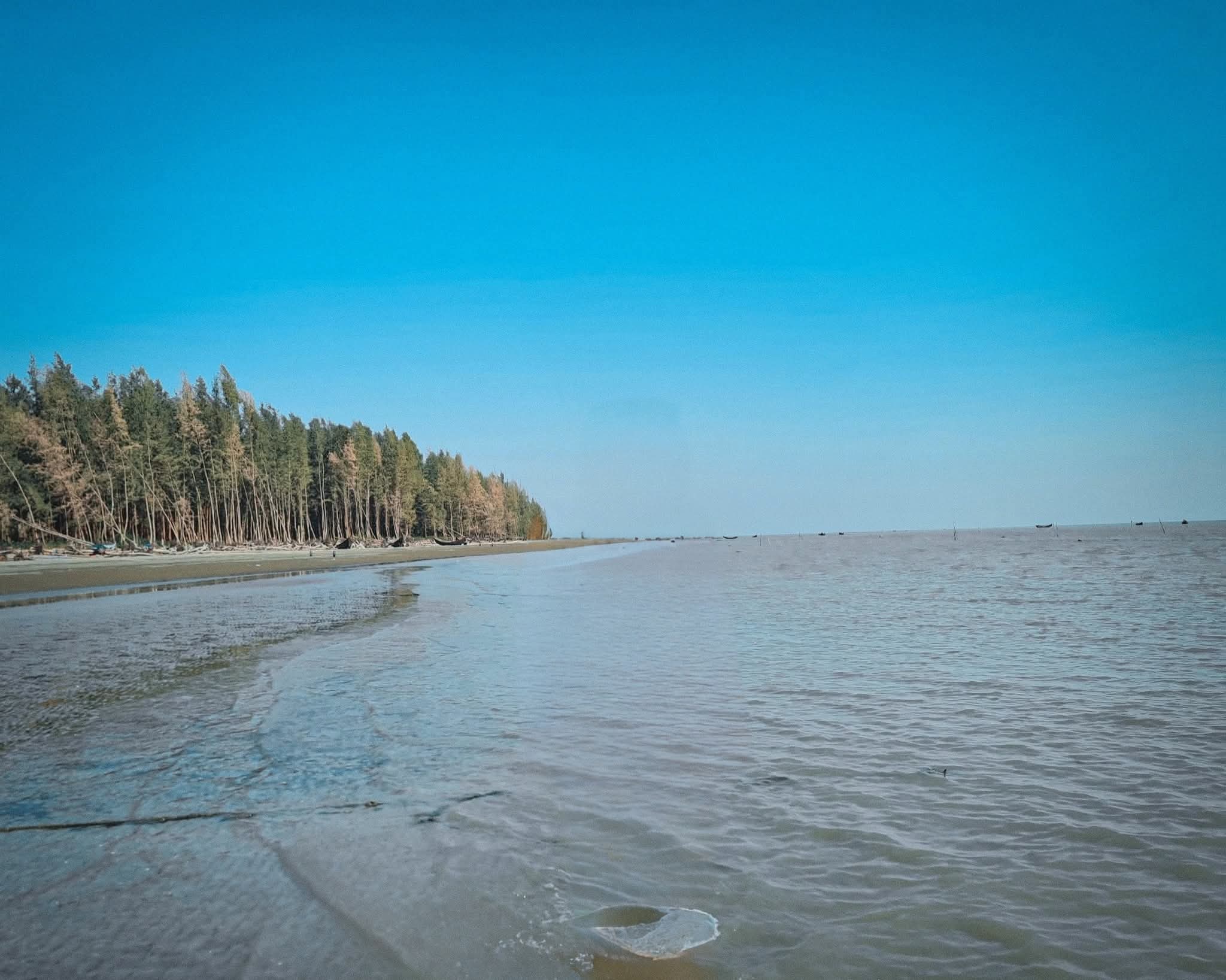 ঝাউবন, সমুদ্র আর নীল আকাশ কুয়াকাটাকে করেছে অনন্য। বাংলাদেশের দর্শনিয় স্থান কুয়াকাটা। কুয়াকাটার সুন্দর দৃশ্য।