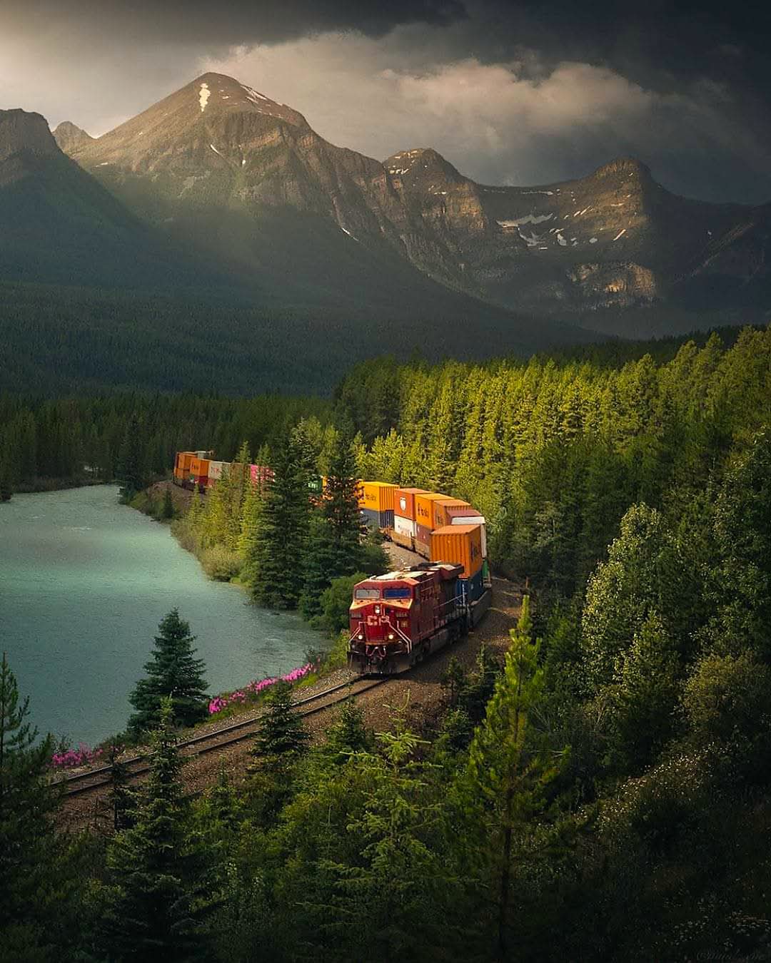A train in The beautiful Alberta, Canada