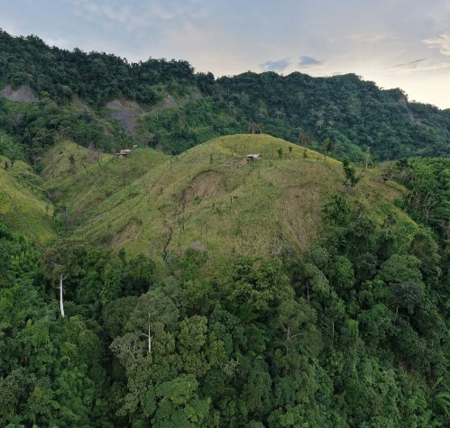 ছবিতে দৃশ্যমান সড়ক আলীকদম উপজেলার পোয়ামুহুরী, এলাকা হতে মিয়ানমার সীমন্ত ঘেঁষে নাইক্ষ্যংছড়ি হয়ে! কক্সবাজার পর্যন্ত নির্মাণাধীন সড়ক!💚