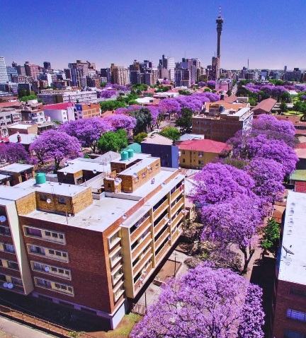 Johannesburg, South Africa 🇿🇦