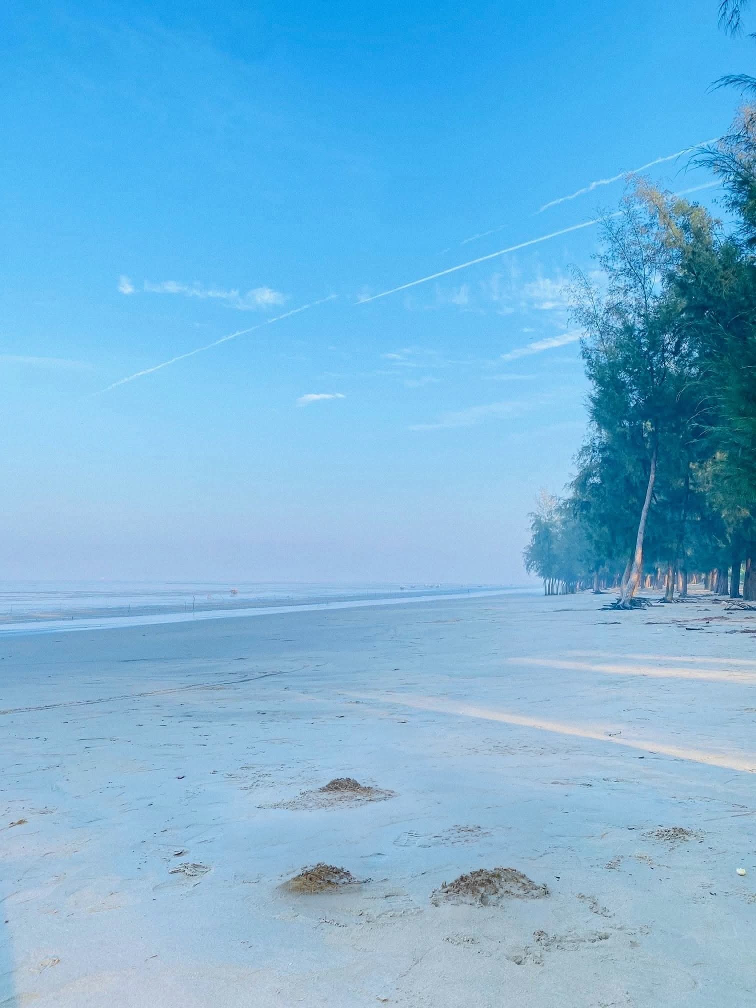 সুন্দরবনের গভীরে শুধু বনাঞ্চল নয়, এমন সমুদ্রসৈকতেরও দেখা পাওয়া যায়।❤️