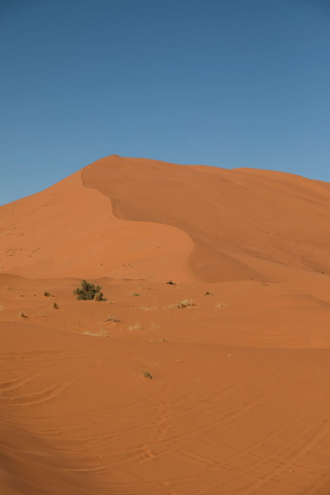 Bilma, Agadez, Niger 🇳🇪