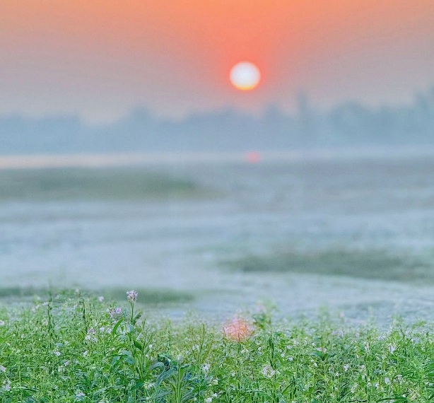 শেষ বিকেলে হেমন্তের কুয়াশা ঢাকা সূর্যাস্ত।❤️