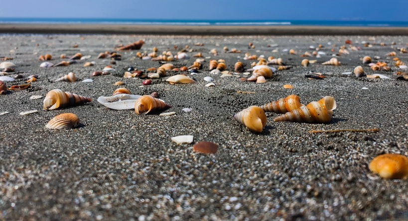 সোনাদিয়া দ্বীপ মনোমুগ্ধকর পরিবেশের সুন্দর দৃশ্য। মহেশখালির সুন্দর দৃশ্য। সোনাদিয়া দ্বীপ, মহেশখালি বাংলাদেশ।