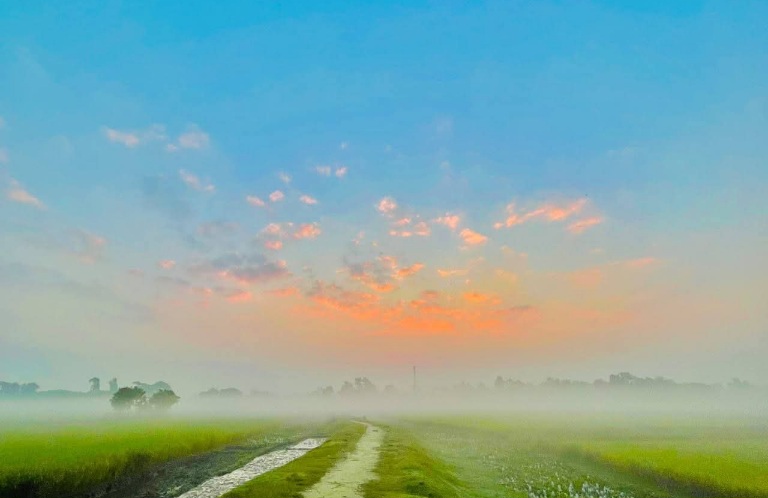 কুয়াশায় ঢাকা সকালের শান্ত পথ। 🌪️