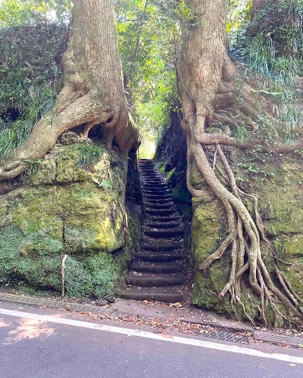 Impressive entrance of Senzu Kiridoshi, Oshimo, Tokyo, Japan.