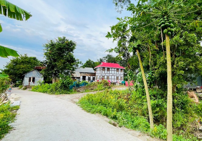 বিক্রমপুর গ্রামীণ প্রকৃতি। 
গ্রাম: কাননীসার, থানা: শ্রীনগর, জেলা: মুন্সীগঞ্জ,  বাংলাদেশ। 🇧🇩