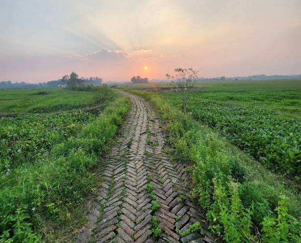 গ্রামের ইটের রাস্তার সুন্দর দৃশ্য। গ্রাম বাগবাড়ী। ইউনিয়ন খিদির পাড়া।
থানা: লৌহজং, জেলা: মুন্সিগঞ্জ, বাংলাদেশ।