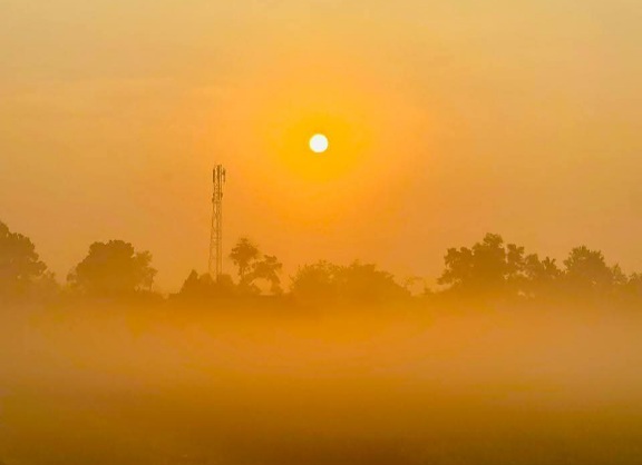 কুয়াশার ভোরে সূর্যের নরম আলো। ⛅