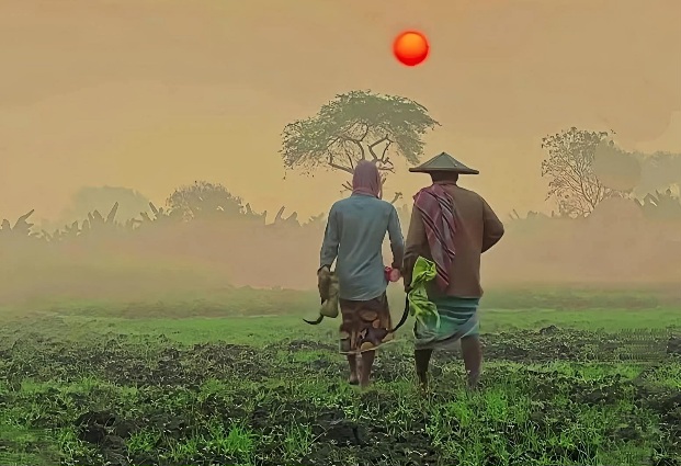 শীতের সকালে বাংলার কৃষকের কাজে যাওয়ার দৃশ্য।🌄🇧🇩