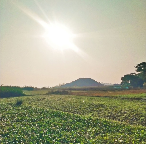 শীতের কুয়াশা ঘেরা সকালের শুভেচ্ছা। গ্রামের শীতের সকাল টা একটু অন্যরকম শহরের থেকে। শহরে এখনো শীত ততটা বোঝা যায় না কিন্তু গ্রাম শীত শুরু হয়ে গেছে। সকলের শীতের সকালটা ভালো কাটুক।