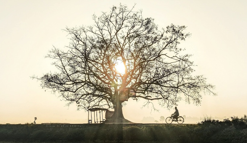 গ্রামীণ শীতের সকাল!
সিরাজগঞ্জ, বাংলাদেশ।🇧🇩