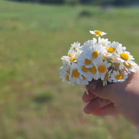 যত বার দেখা করবে তত বার আমার জন্য ফুল নিয়ে আসবে। আমি তো তোমার সুভাষ আর ফুলের সুভাষ এক সাথে নিতে চাই।