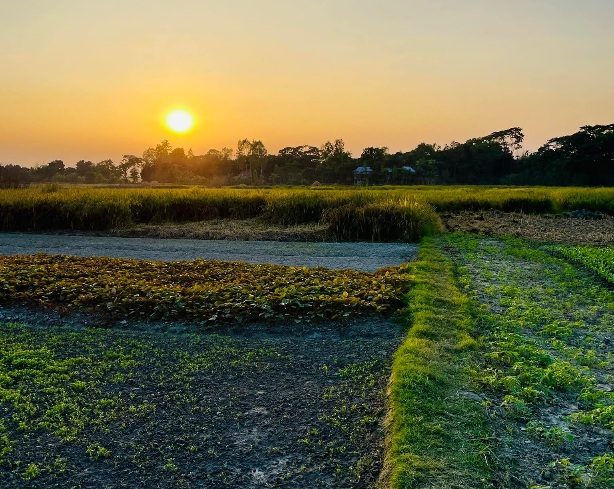 মুন্সীগঞ্জের গ্রামীণ দৃশ্য। 
তন্তর ইউনিয়ন এলাকা, শ্রীনগর, মুন্সীগঞ্জ, বাংলাদেশ।