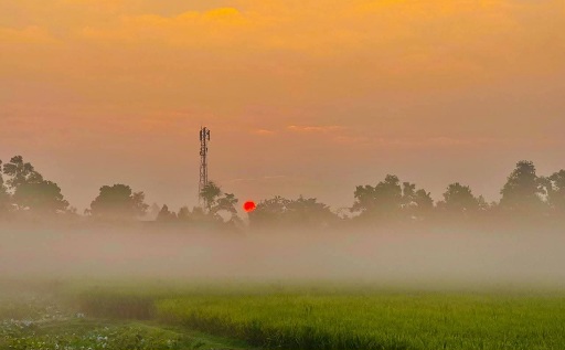 কুয়াশার গেরায় শীতের সকালে সুন্দর ভোর। গ্রাম বাংলা মনোমুগ্ধকর পরিবেশের সুন্দর দৃশ্য। শীতের সকালে সুন্দর দৃশ্য।