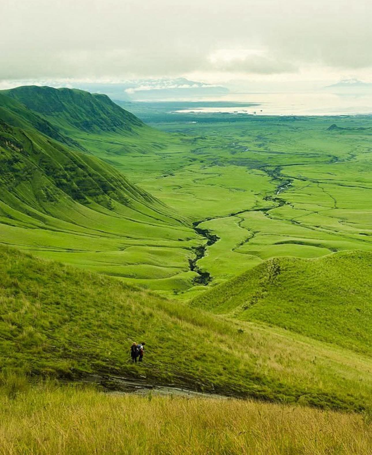 Ngorongoro, Tanzania 🇹🇿