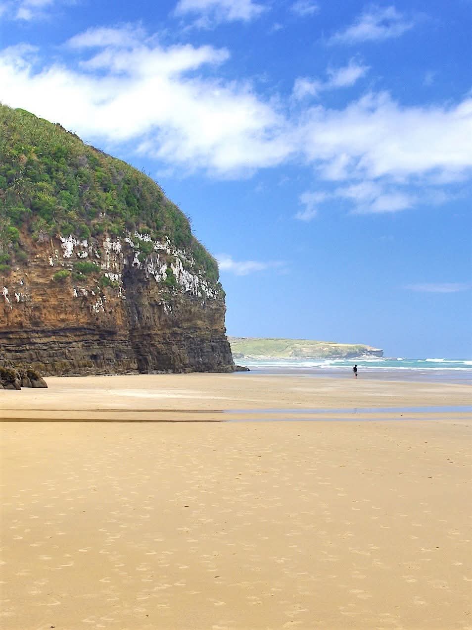 Waipati Beach, New Zealand.
